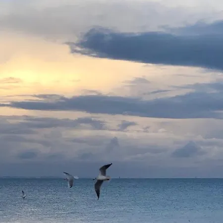 アパート Le Spot, Spacieux A 30m De La 45m2 リュック・シュル・メール