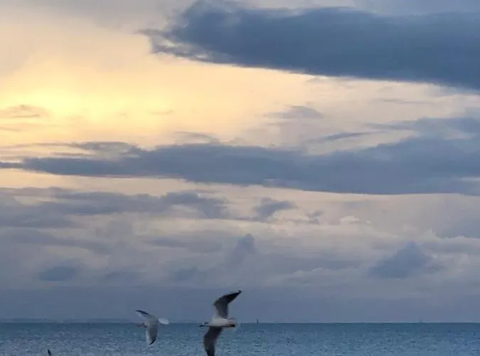 Διαμέρισμα Le Spot, Spacieux A 30m De La 45m2 Luc-sur-Mer